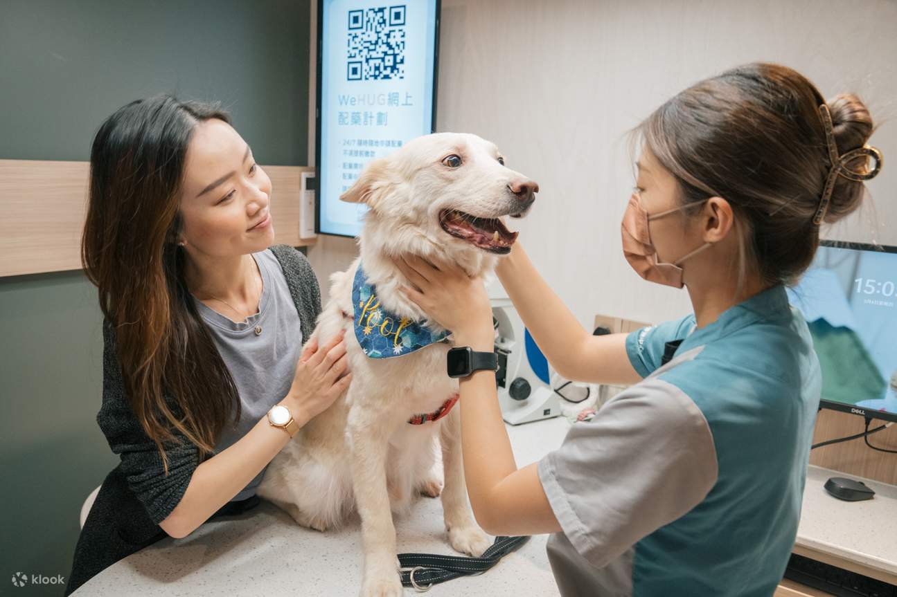 Owner entrusts their furry friend to the care of WeHUG with peace of mind